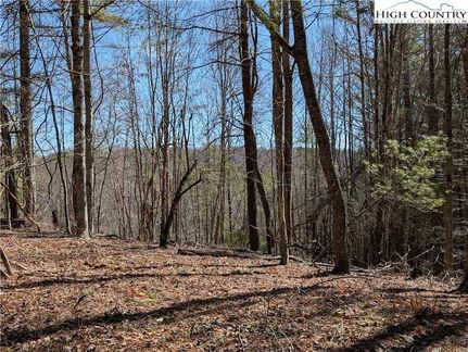 Land for sale in Ashe County, North Carolina