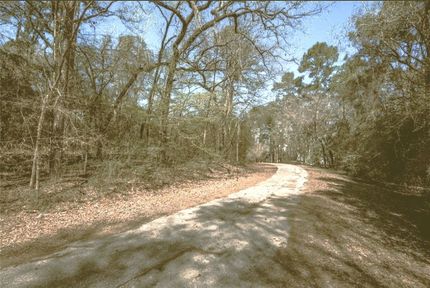 Homesite for sale in Trinity County, Texas