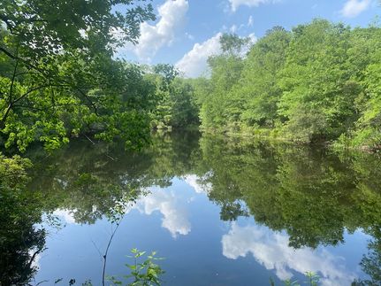 Land for sale in Montgomery County, Texas