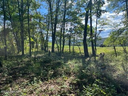 Land for sale in Lycoming County, Pennsylvania