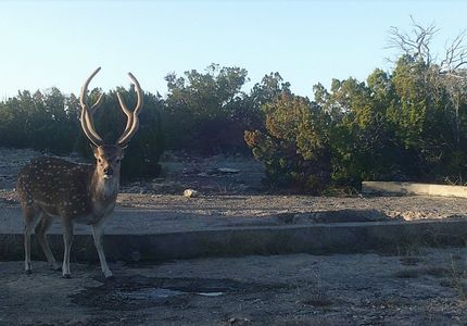 Land for sale in Edwards County, Texas