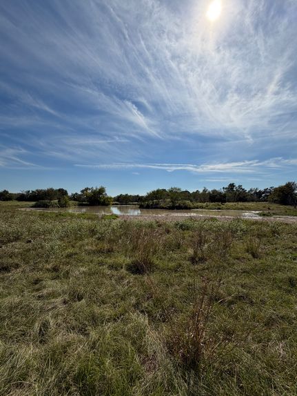 Land for sale in Leon County, Texas