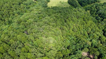 Recreational Property for sale in Delaware County, Oklahoma