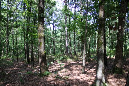 Land for sale in Delaware County, Oklahoma