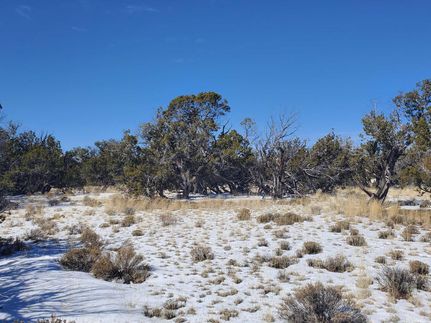 Farm and Ranch for sale in Apache County, Arizona