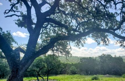 Land for sale in Comal County, Texas