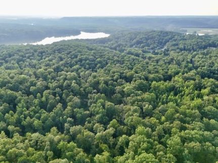 Undeveloped Land for sale in Stewart County, Tennessee