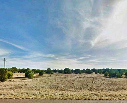 Homesite for sale in Navajo County, Arizona