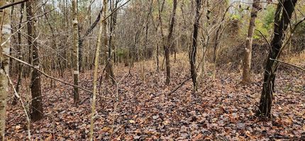 Land for sale in Franklin County, Virginia