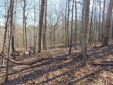 Land for sale in Franklin County, Virginia