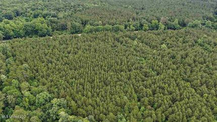 Land for sale in Smith County, Mississippi