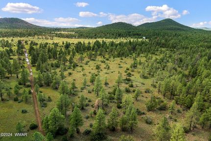 Land for sale in Apache County, Arizona