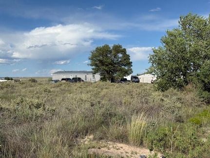 Undeveloped Land for sale in Torrance County, New Mexico