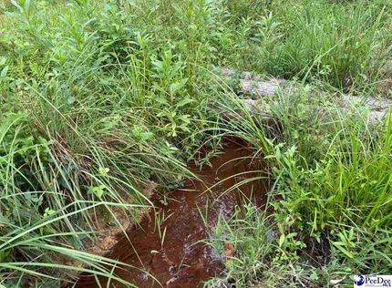 Land for sale in Lexington County, South Carolina