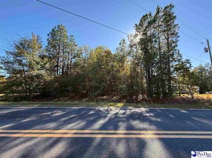 Land for sale in Chesterfield County, South Carolina