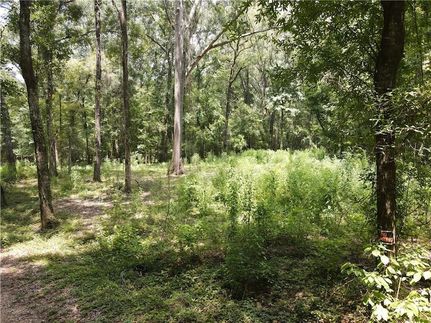 Land for sale in Avoyelles Parish, Louisiana