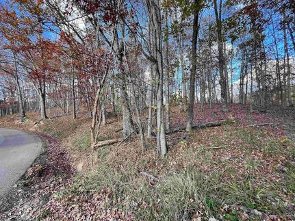 Land for sale in Randolph County, West Virginia