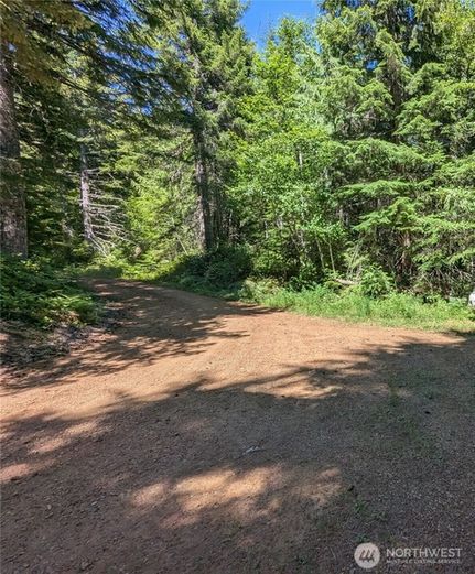 Land for sale in Mason County, Washington