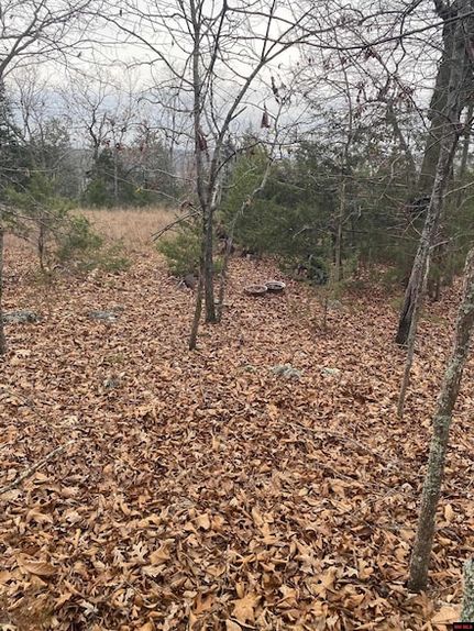 Land for sale in Marion County, Arkansas