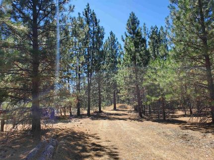 Homesite for sale in Siskiyou County, California