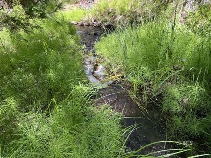 Land for sale in Lassen County, California