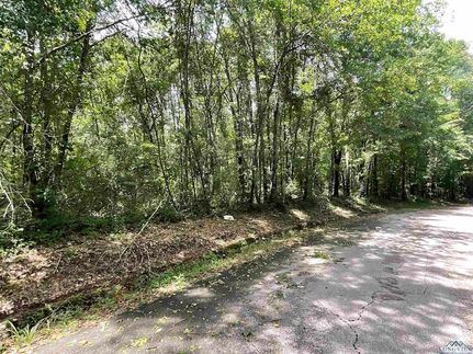 Land for sale in Panola County, Texas