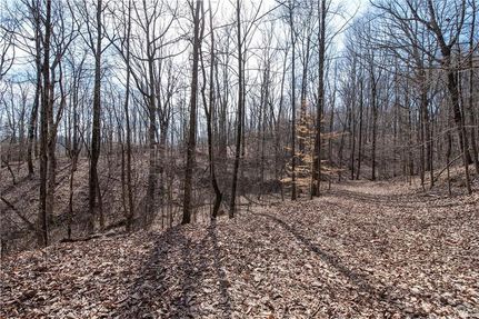 Land for sale in Lumpkin County, Georgia