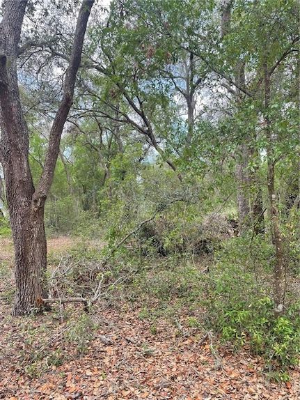 Land for sale in Lake County, Florida