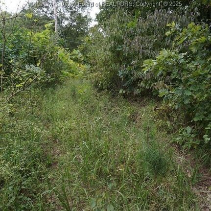 Undeveloped Land for sale in Putnam County, West Virginia