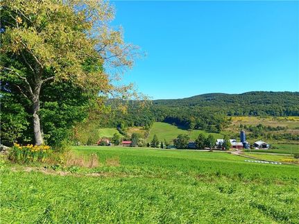 Land for sale in Schoharie County, New York