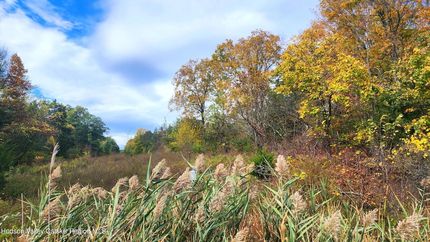Land for sale in Greene County, New York