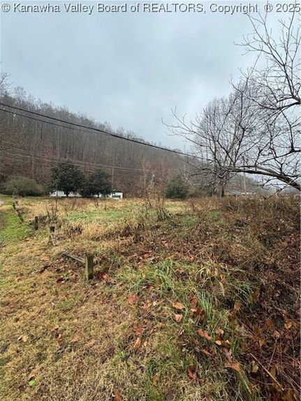 Undeveloped Land for sale in Boone County, West Virginia