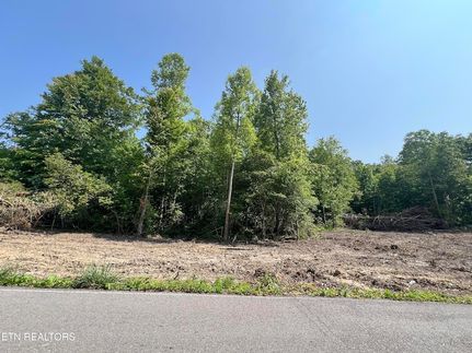 Land for sale in Scott County, Tennessee