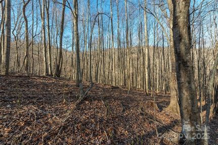 Land for sale in Buncombe County, North Carolina