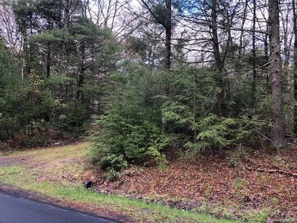 Land for sale in Sullivan County, New York