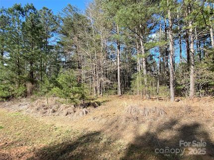 Land for sale in Burke County, North Carolina
