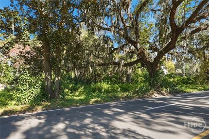 Land for sale in Chatham County, Georgia