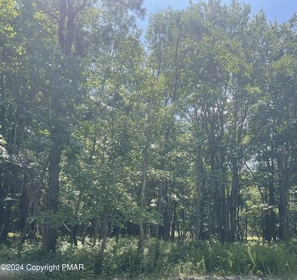Undeveloped Land for sale in Carbon County, Pennsylvania