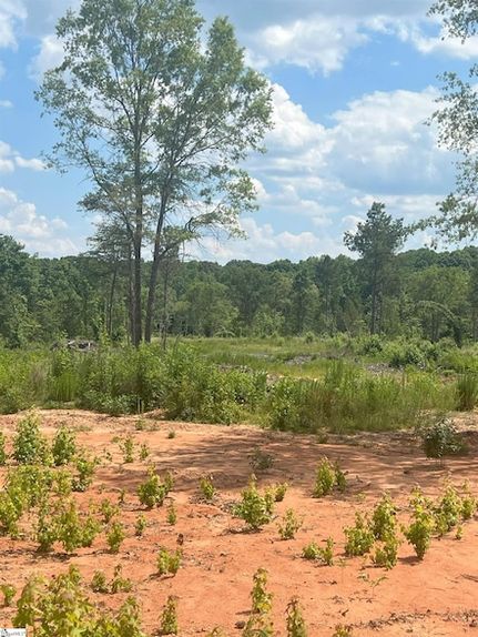 Land for sale in Spartanburg County, South Carolina
