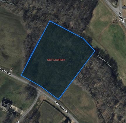 Land for sale in Henry County, Tennessee