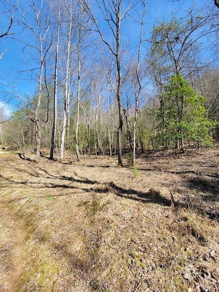Land for sale in Macon County, North Carolina