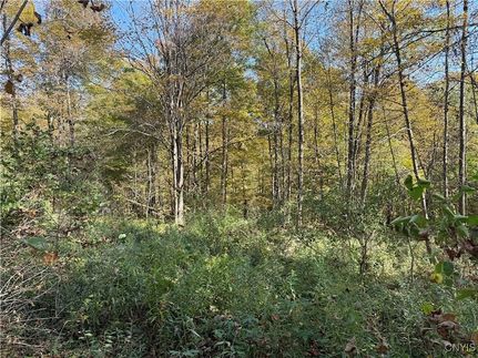 Land for sale in Cortland County, New York