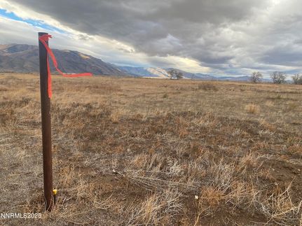 Land for sale in Lyon County, Nevada