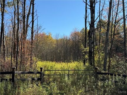 Undeveloped Land for sale in Chemung County, New York