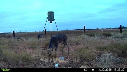 Land for sale in Baylor County, Texas