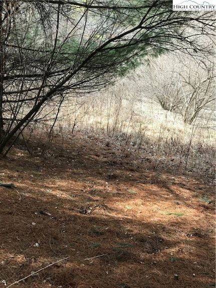 Land for sale in Ashe County, North Carolina