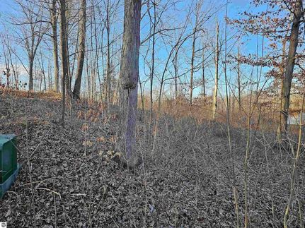 Land for sale in Ogemaw County, Michigan