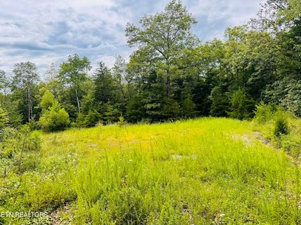 Undeveloped Land for sale in Morgan County, Tennessee