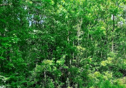 Land for sale in Jasper County, Texas