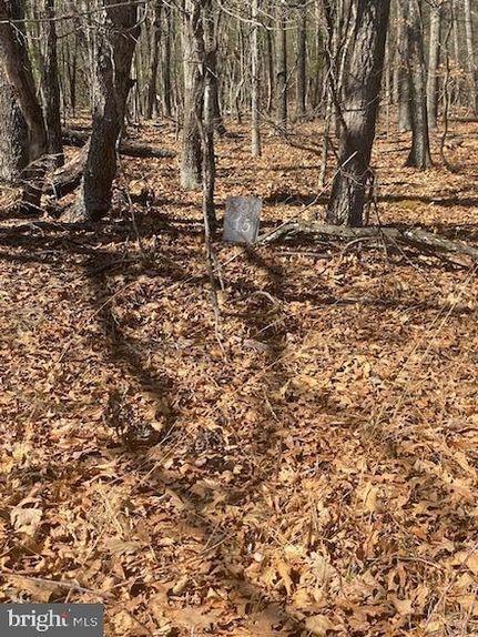 Homesite for sale in Berkeley County, West Virginia